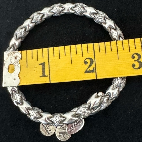 Alex and Ani Silver Bracelet With Three Charms - Picture 5 of 5